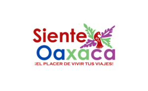 15 Siente Oaxaca